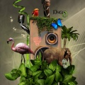 Music  - iPhone Wallpaper (1)