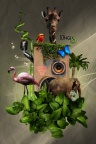 Music  - iPhone Wallpaper (1)