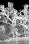 Photo ballet - Fond iPhone