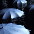 Photographie parapluie (1)