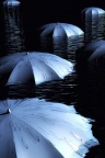 Photographie parapluie (1)