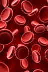3D globules rouge sang - fon iphone