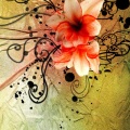 03044 Zen flower - iphone wallpaper
