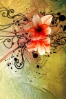 03044 Zen flower - iphone wallpaper