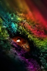 Oeil mysterieux - Colorfull Wallpaper