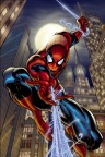 Spiderman - Fond iPhone (2)