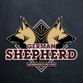 German Shepherd - Fond iPhone