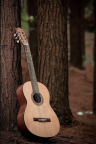 Guitare Classique - Forêt - Fond iPhone