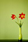Bouquet Soliflor - Fond iPhone