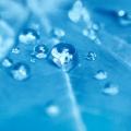 Gouttes d'eau bleues - Fond iPhone