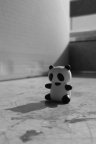 Peluche Panda - Fond iPhone
