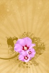 Zen Flowers - Fond iPhone
