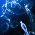 Abstract Blue - Fond iPhone (3)