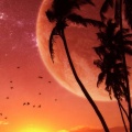 Sunset - iPhone 5 Wallpaper