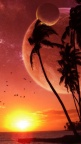 Sunset - iPhone 5 Wallpaper