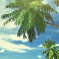 Plage tropicale fond iPhone 6 Plus
