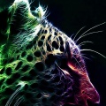 Color Leopard iPhone 6