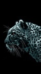 Leopard iPhone 6 Noir et blanc