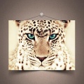 Photo leopard iPhone 6