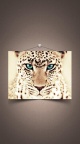 Photo leopard iPhone 6