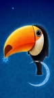 Oiseau fond ecran iPhone 6 (4)