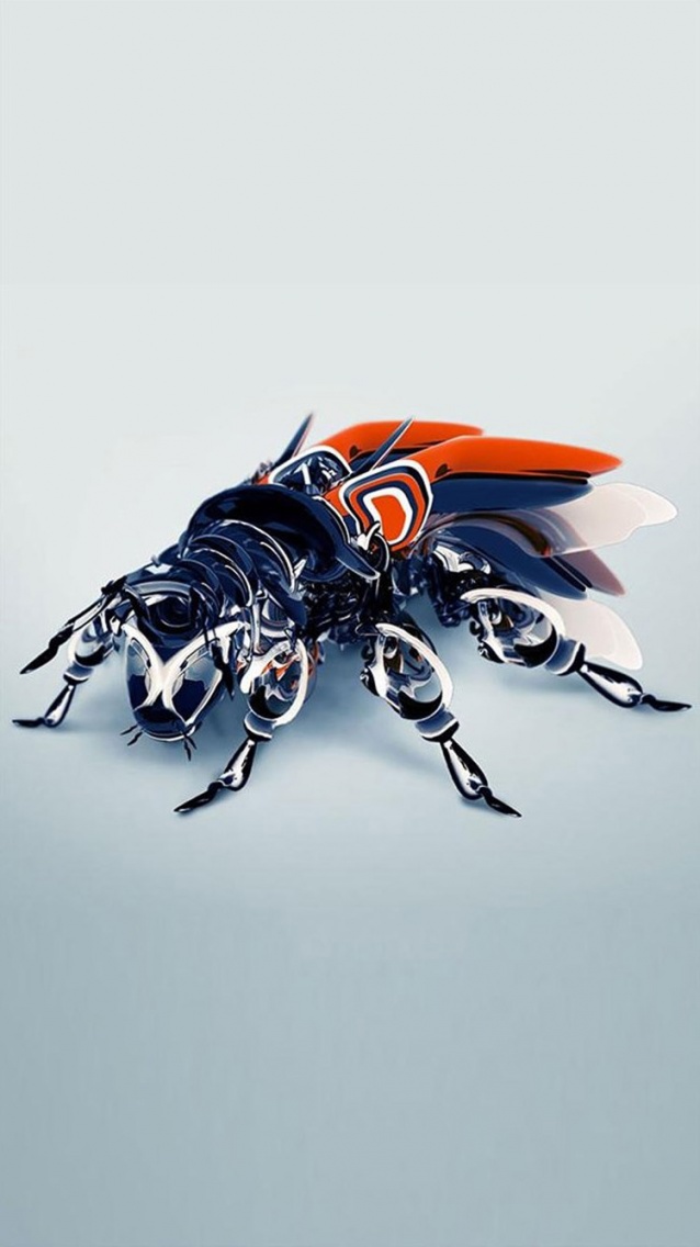Insect 3D