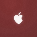 Logo Apple - 750x1334 (7)
