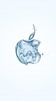 Logo Apple - 750x1334 (39)