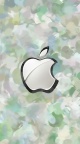 Logo Apple - 750x1334 (105)