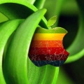 Logo Apple en Couleur - iPhone 6 (10)
