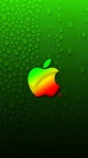 Logo Apple en Couleur - iPhone 6 (11)