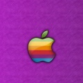 Logo Apple Multicolor - iPhone 6 (9)