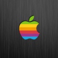 Logo Apple Multicolor - iPhone 6 (19)