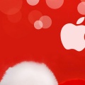 Fond Apple special Noel - 750x1334