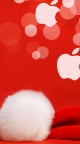 Fond Apple special Noel - 750x1334