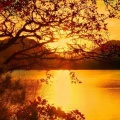 Lac et soleil couchant - iPhone 6