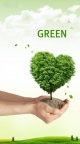 Coeur Green - fond iPhone 6