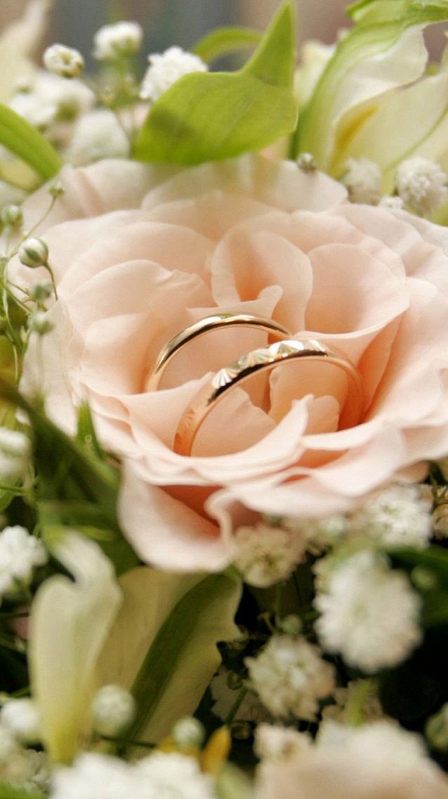 Rose avec anneaux de mariage.jpg