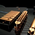 Detail Guitare Electrique