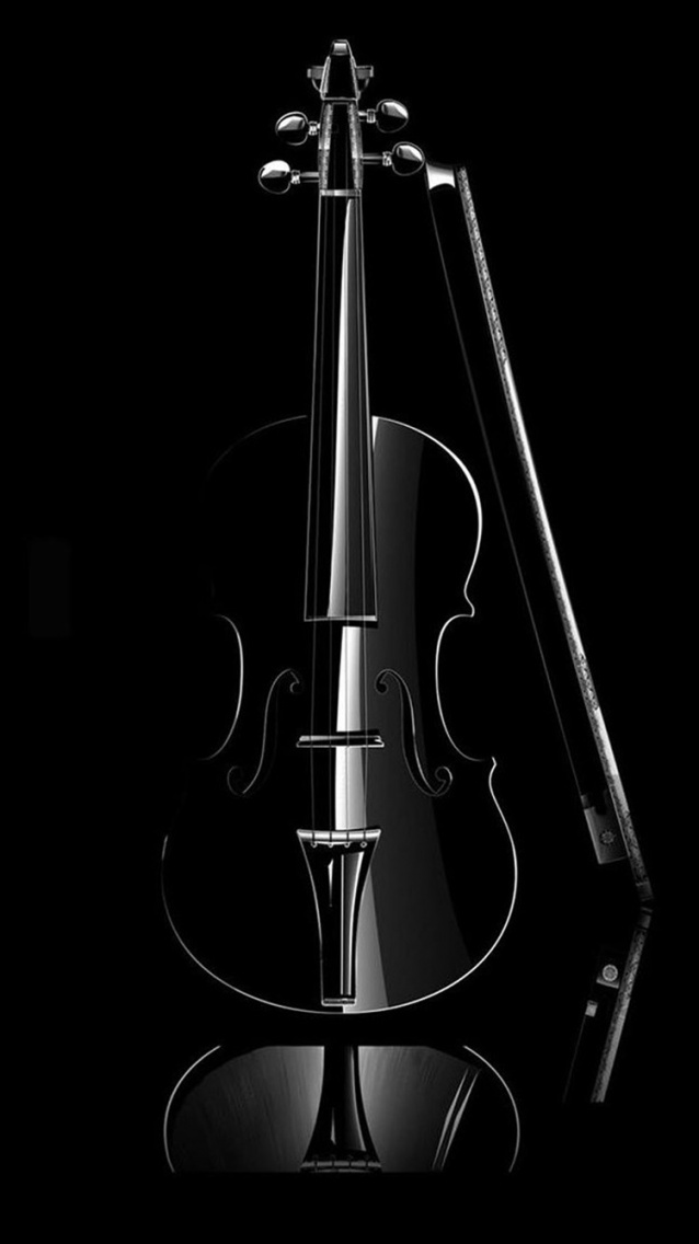 Violon Noir - Black Collection.jpg