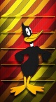Daffy Duck - Toons