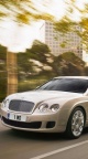 Bentley grise - 750x1334
