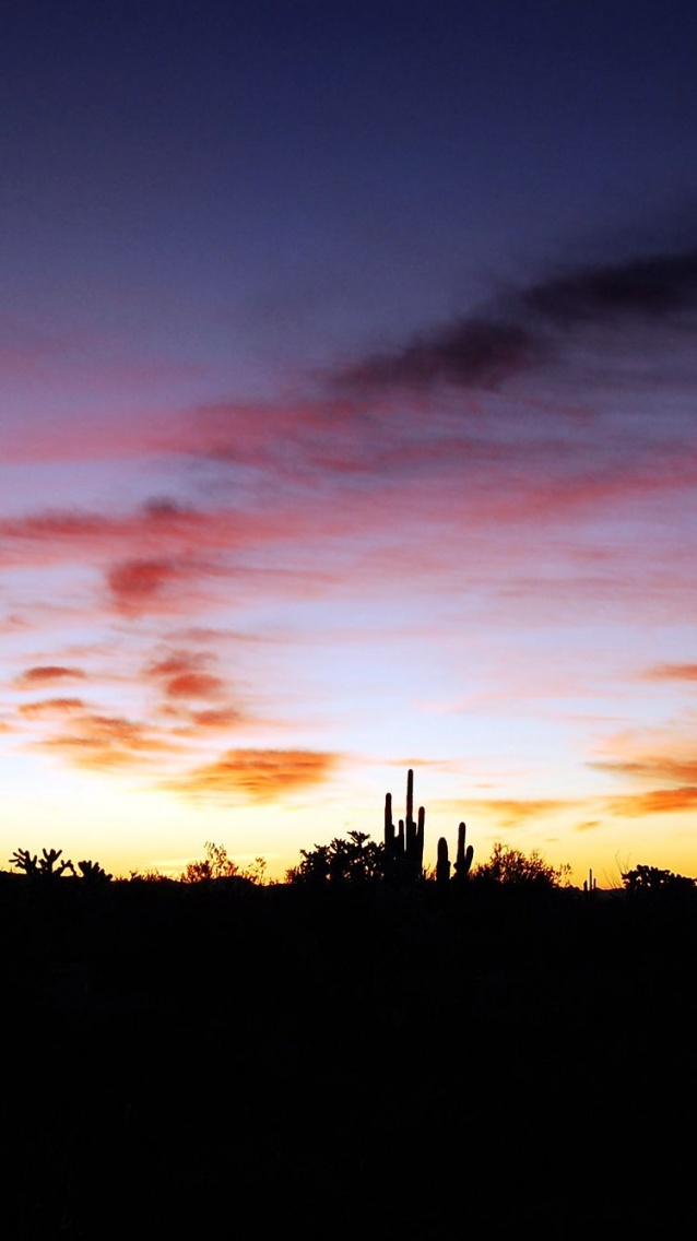 Desert Sunset Wallpaper iPhone6.jpg
