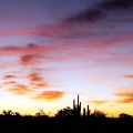 Desert Sunset Wallpaper iPhone6