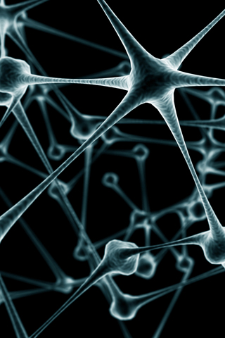 Neurones 3D