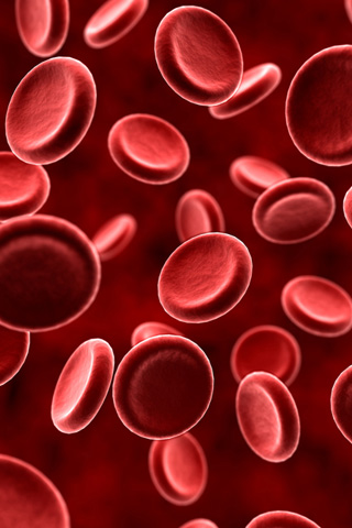 3D globules rouge sang - fon iphone.jpg