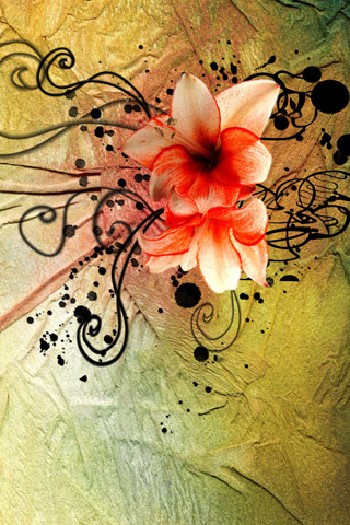 03044 Zen flower - iphone wallpaper.jpg