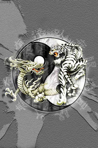 ying yang - dragon tiger.jpg