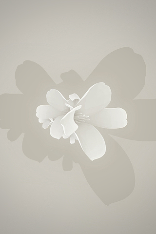 Flower - Fond iPhone.jpg