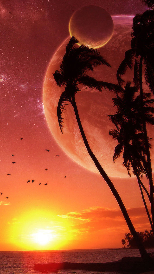 Sunset - iPhone 5 Wallpaper.jpg